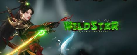 WildStar2 - Open On 03.05.2024 20:00 EEST - Metin2 PvP Server Banner | Newschool | Max Lv 120
