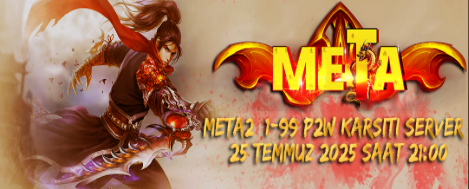 Meta2